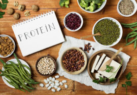 plant protein