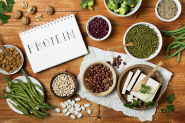 plant protein