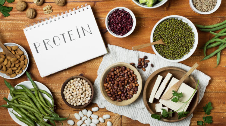 plant protein
